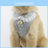 Soft And Breathable Mesh Dog Harness Vest With Matching Leash For Small Medium Pets