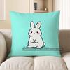 2D Cute White Bunny On Turquoise Pillow Cover Pattern Cushion Cover Suitable For Sofa Bedroom Car Pillow Cover