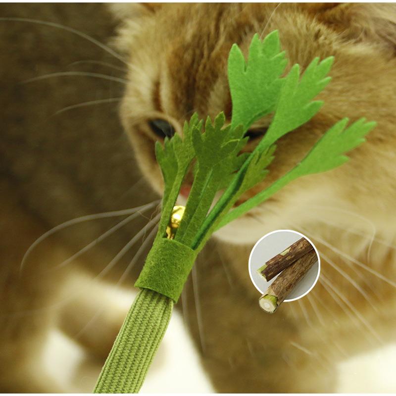 Interactive Self Playing Catnip Molar Stick Cat Chew Toys Teeth Cleaning Bite Squeaky Cat Toy for Indoor Cat Dental Health