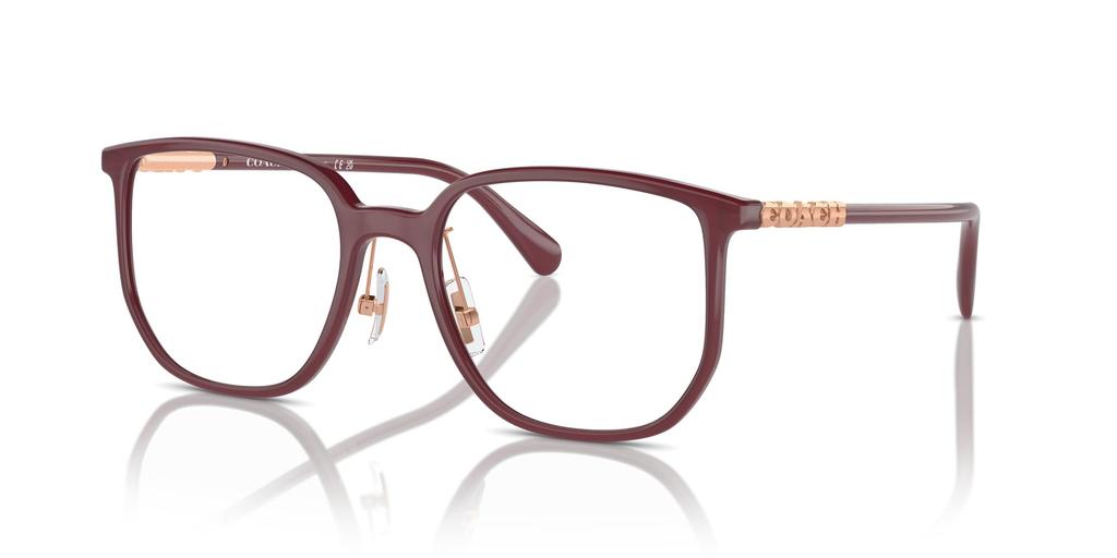 Glasses HC6240D 5479 54 [Coach] Women's