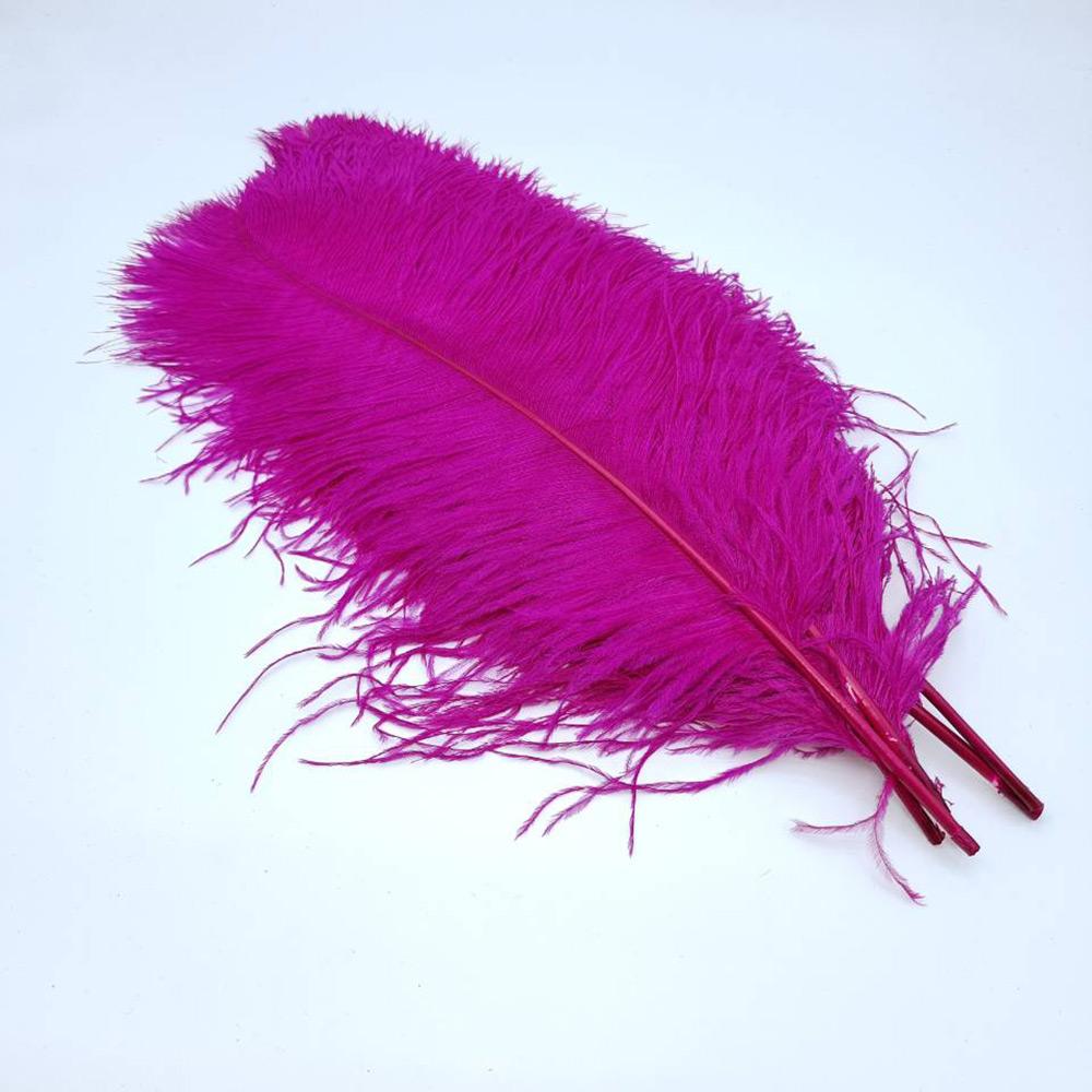 

10pcs/lot Natural Ostrich Feathers For Crafts Wedding Decor Handicraft Accessories Table Centerpieces Carnival Plumas Christmas 15-20cm 6-8inch