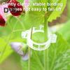 100/200/300/400/500Pcs Garden Plant Support Clips Grape Tomato Ties Vegetable Vine Stem Fixing Clip Cucumber Flower Squash Vine Upright Climbing