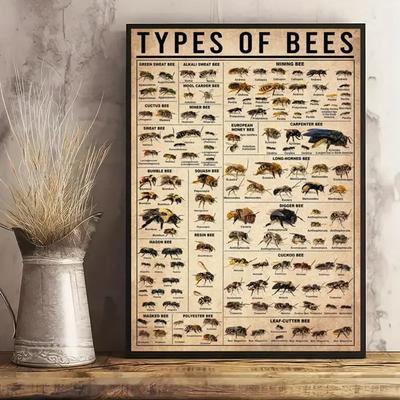 1pc Canvas Poster, Types Of Bees Poster, Types Of Insects Poster, Bee Illustration Poster, Bee Knowledge Poster Wall Art For Liv