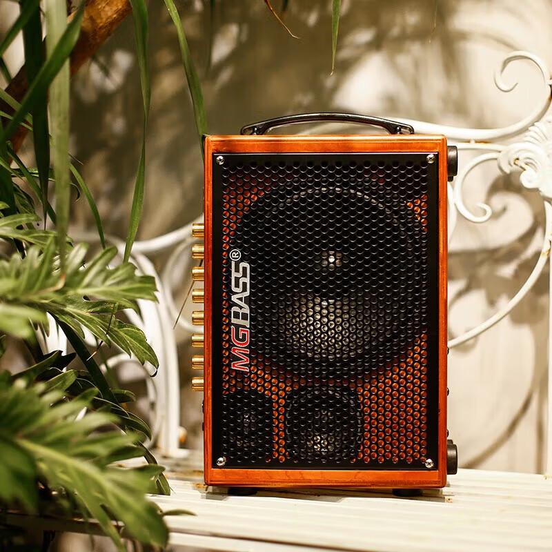 MiGao MG-T3 Portable Live Performance & Karaoke Speaker