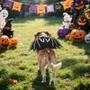 Katzen Rollenspielkostüm für Hunde und Katzen Bequeme Feiertags-Haustierkostüme für Halloween-Partydekorationen, Foto-Requisiten, Geburtstagsfeiern