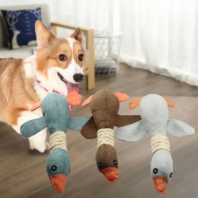 Cães – Brinquedos para cães