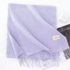 New Solid Color Maillard Imitation Cashmere Scarf for Women Autumn and Winter High End Warm Shawl Simple Scarf