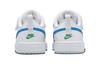 Nike Court Borough Low 2 TD 'White Photo Blue' BQ5453-123
