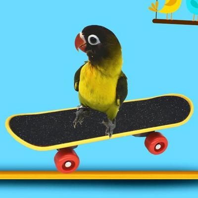 Parrot Intelligence Toys Mini Training Plastic Skateboard For Budgies Parakeet Growth Funny Grinding Claw Scooter