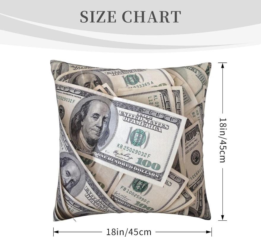 Dollar Bill Throw Pillow Case Decorative Throw Pillows Square Cushion Cover for Sofa Bed Car Chair Living Room 18x18 Inch
