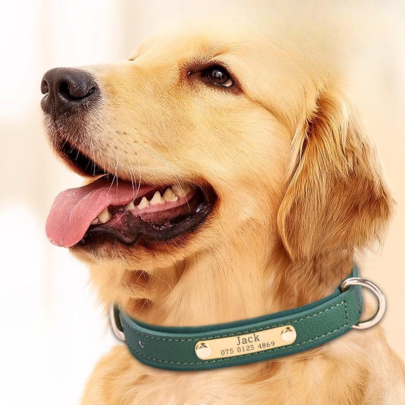 Pet Collars  Microfiber Leather Lettering Dog Collars Adjustable Dog Brand Anti Loss Collars