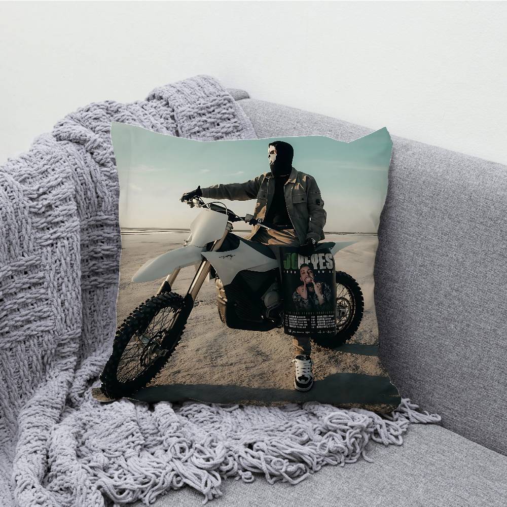 JC Reye Pillowcases Bedroom Living Room Sofa Home Decor Polyester Cushion Cover with Zipper