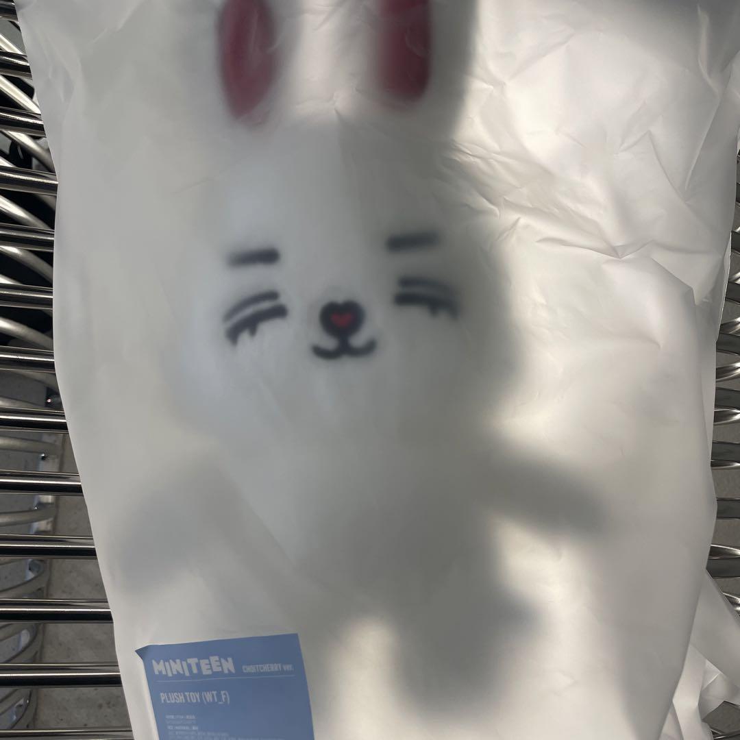 

[USED] SEVENTEEN Korea Pop-up S.Coups