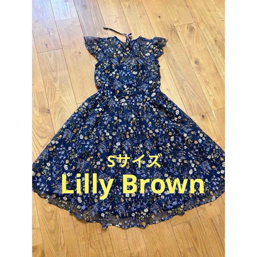 lily brown one piece, dress