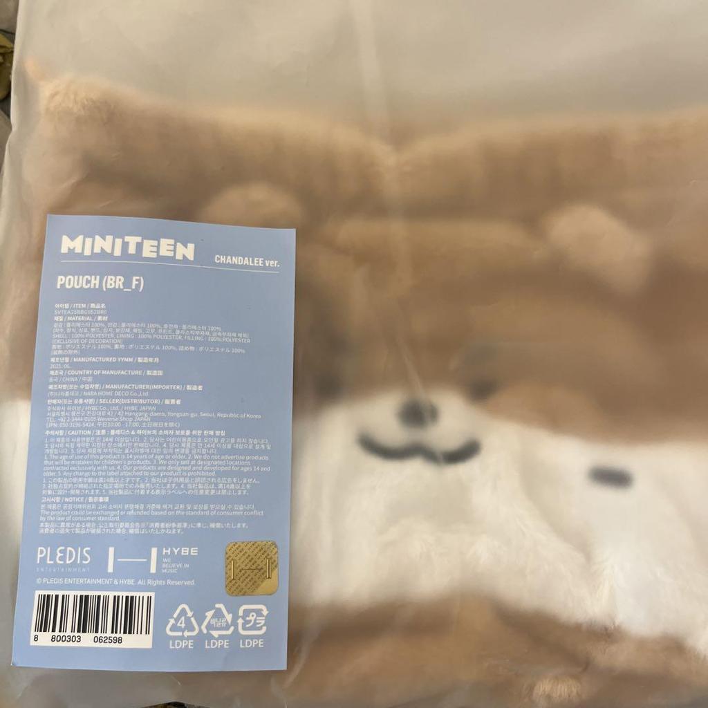 [USED] MINITEEN Pop-up Pouch Seventeen Dino