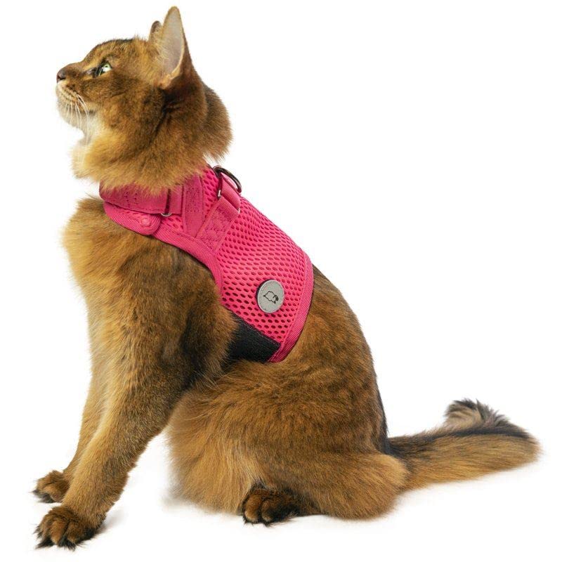 

Martingale Cat Pink Peony Harness, Large,