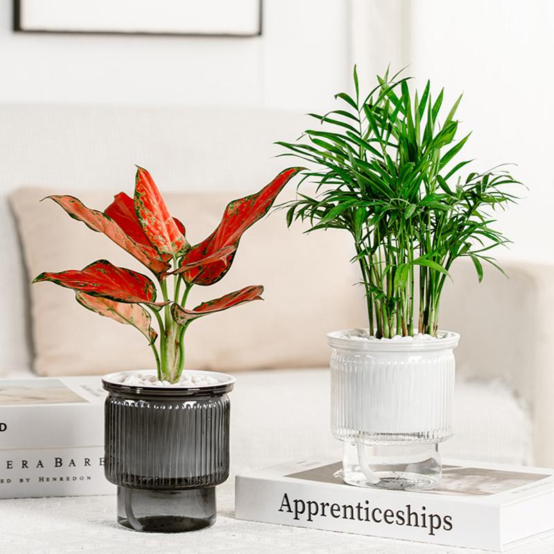 Mini Self Watering Flower Pot Fish Tank Transparent Plastic Plant Pots Self Watering Planter Pot Vase For Home Decoration