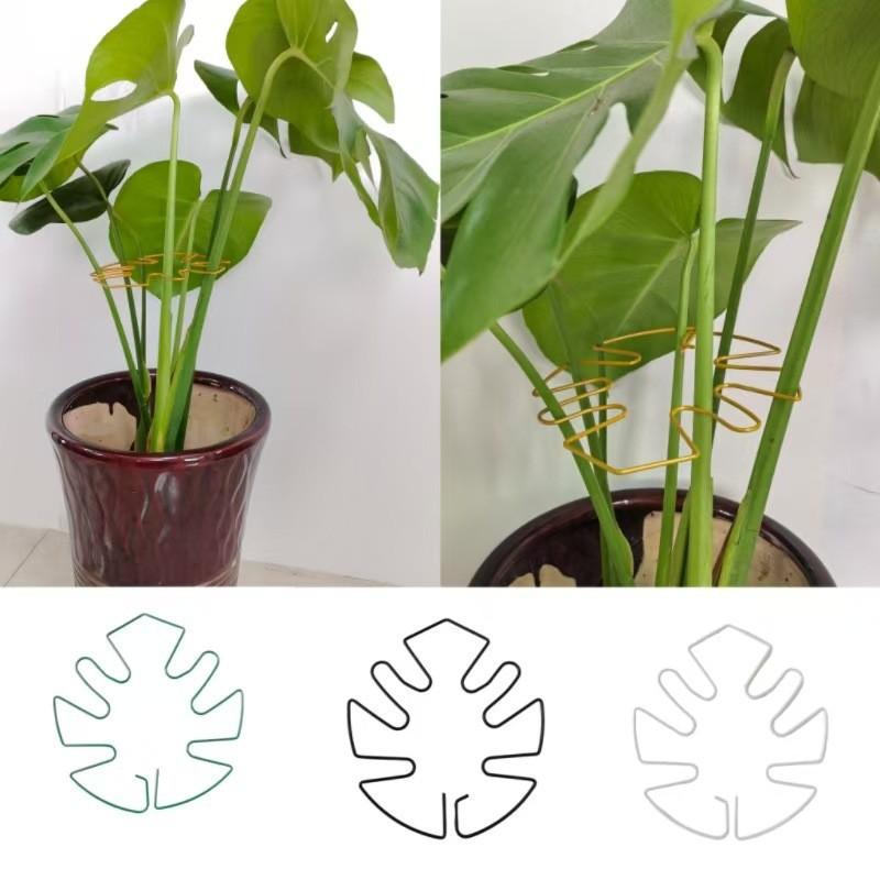 Large Hanging Plant Rack Iron Hook Fixed Plants Corrective Plants Suitable For Flower Pot Decoration Indoor And Outdoor Use