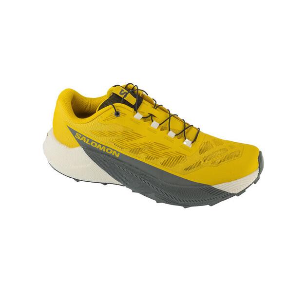 Беговые кроссовки Salomon Pulsar EU 44