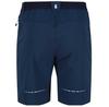 Regatta Mountain II Shorts