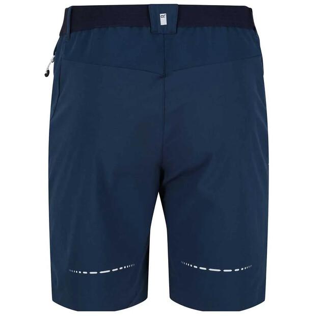 Regatta Mountain II Shorts