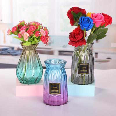 European Simple Glass Vase for Fresh or Dried Flower Arrangements - Creative Home Decor