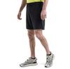 Icebreaker Шорты Merino Shifter II