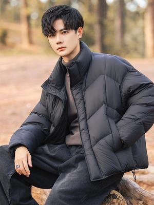 Trendy Brand 2025 Men's Loose Stand Collar Down Jacket - High-End Feel Winter Outerwear
