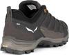 Hiking Shoes Salewa Mountain Trainer Lite GTX (61361) Wallnut/fluo Orange