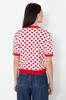 Women's Elegance Style Sweater Red Crew Neck Knitwear Sweater