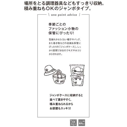 Iwasaki Kogyo Antibacterial and Stain-Resistant Storage Container, Jumbo Case, Small, 3.0L, B-882 KB, Made in Japan