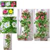 Morning Glory Artificial Silk Flowers Vine For Perfect Wall And Garden Decor**