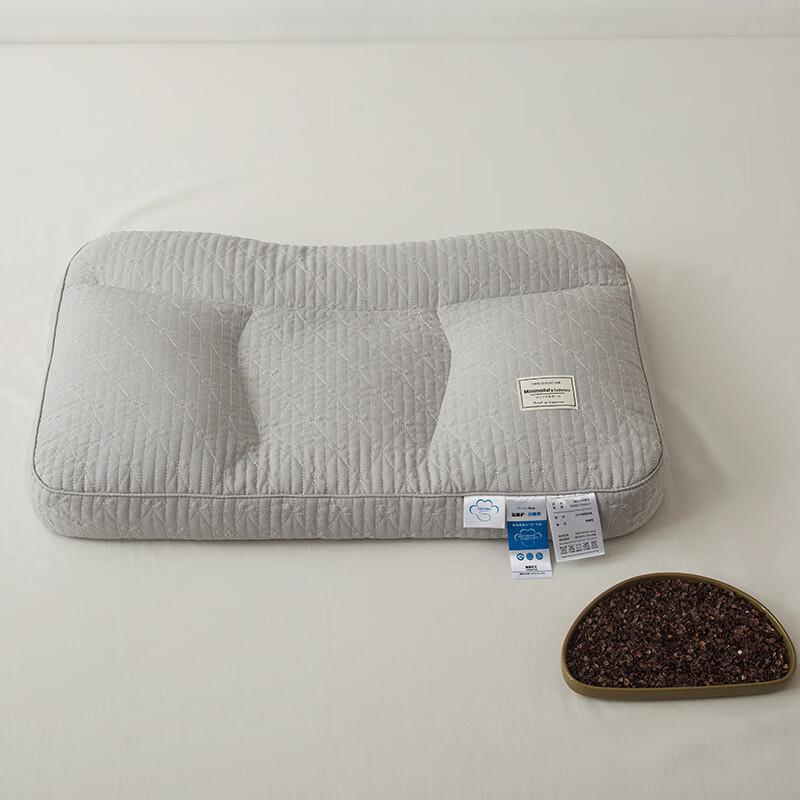 Ergonomic Buckwheat Neck Support Pillow