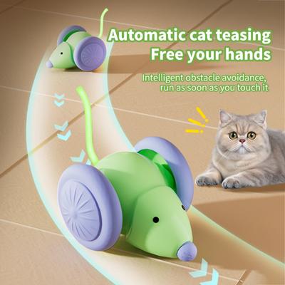 Katzen – Katzenspielzeug