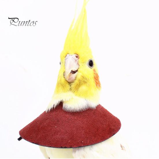 Adjustable Parrot Recovery Collar Anti-Biting Injury Protection Fastener Tape Fixing Bird Collar Pet Bird