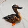 Throw Cushion Simulation Plush Duck Stuffed Animal Duck Plush Pillow Stuffed Duck  Birthday Gift
