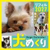 CO2 Inumekuri 2027 Daily Desktop Calendar Refill CK-D27-02 Made In Japan Dog Photos