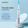 WT-501W Sonic Electric Toothbrush