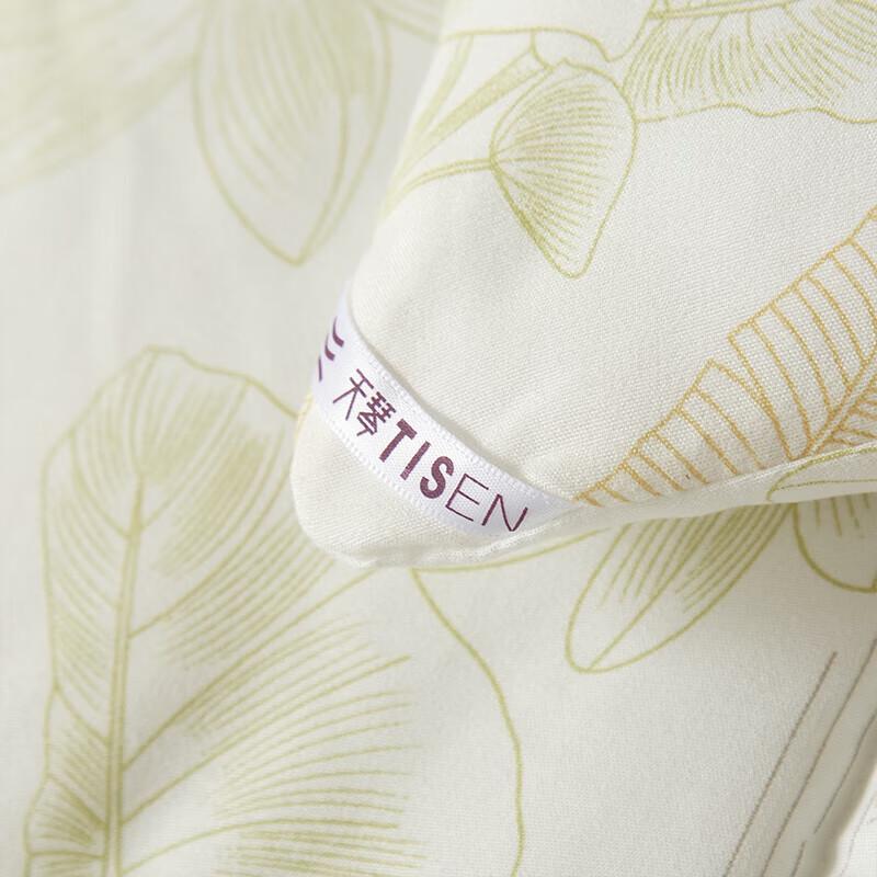 Tianqin Impression All-Season Polyester Quilt