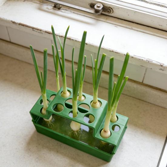 3D Printed Green Onion Planter 14 Holes Green Onion Hydroponic Regeneration Planter Holder Countertop Soilless Planting Box