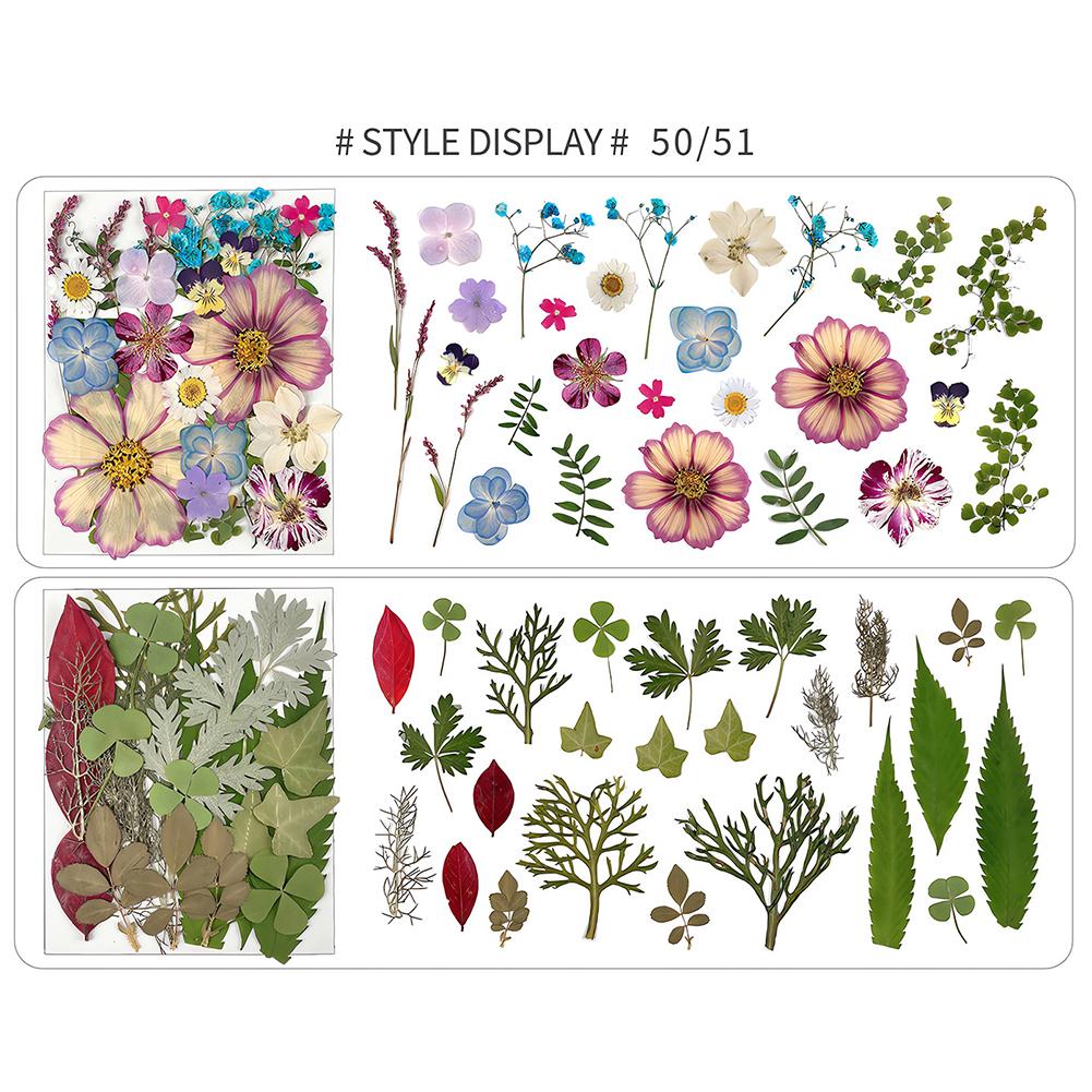 1 Pack Dried Flowers Decoration Embossing Flowers Handmade Flower Material Natural Dry Flowers Candle For Making Crafts Nail Art Decoration
