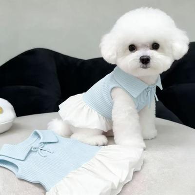 Bekleidung & Schuhe – Hundekleider
