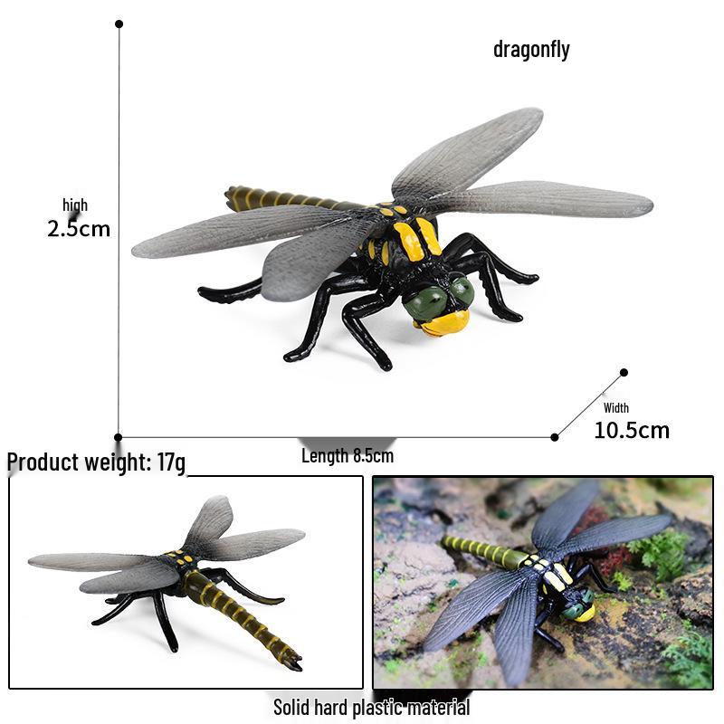 Children s Cognitive Insect Models: Butterfly, Swallowtail, and Dragonfly Toy Set