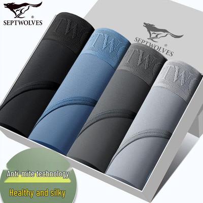 Herren-Eisseide-Antibakterielle Slips