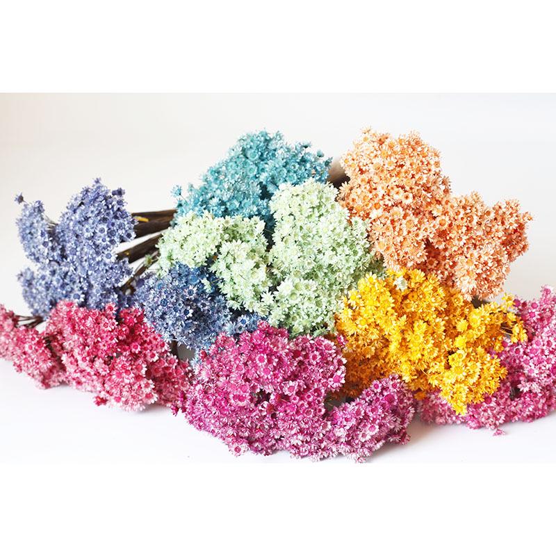 Brazilská hvězdnice sedmikrásková vonná svíčka, rtěnka a mini kytice ze sušených květin DIY pryskyřičná aranžmá fotorámečku