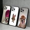 C-Chihuahua Funny Memes Phone Case For iPhone17,16,15,14,13,12 Plus,Max Soft Silicone Black Cover