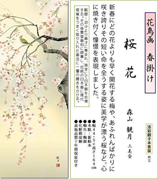 Hanging Scroll Spring Cherry Blossoms by Kangetsu Moriyama Shakusan Scroll Tokonoma Japanese Hand-Painted Wall Art Decor