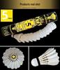 Yalion Durable Youth Badminton Set - Professional Training Pack