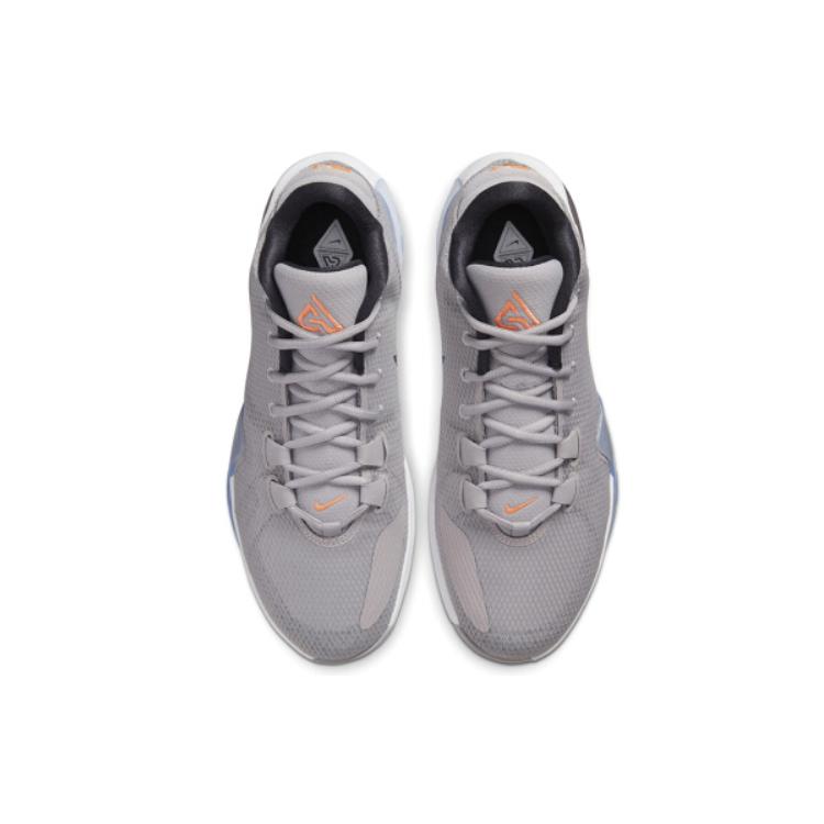 Nike Zoom Freak 1 Atmosphere Grey BQ5422-002