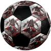 Assassin's Creed Theme Size 5 Soccer Ball, Suitable for Both Indoor and Outdoor Matches, a Gift Suitable for Everyone.